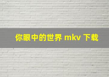 你眼中的世界 mkv 下载